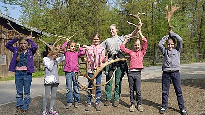 Kinder im Wildpark halten sich Geweihe an den Kopf