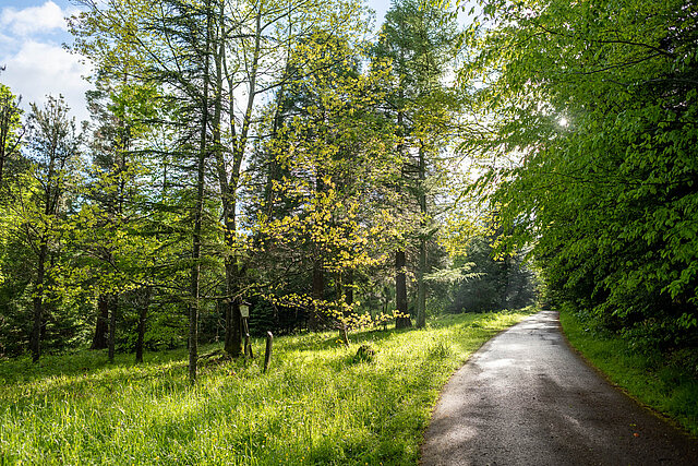 Großer Büchenbronner Rundweg - Foto: Pierre Johne