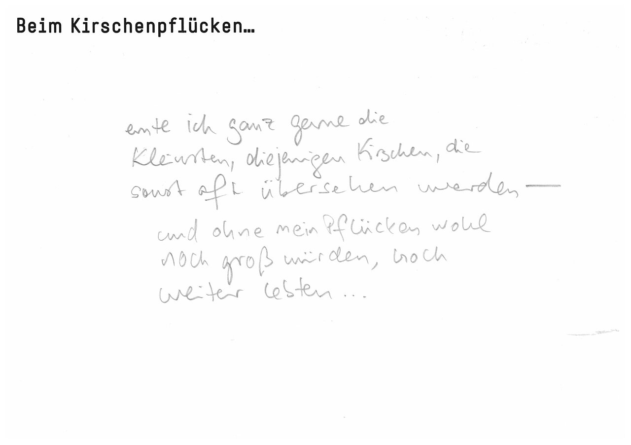 "Beim Kirschenpflücken..."