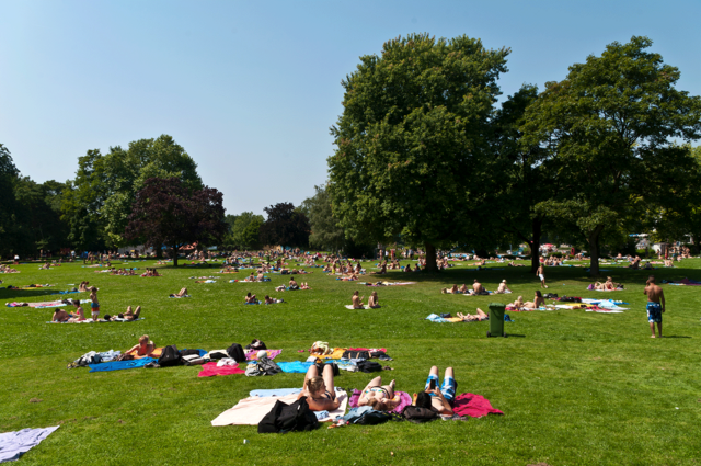 Foto: Wartbergfreibad Liegewiese - copyright:EPVB