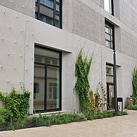 Auf dem Bild ist die Fassade des Neuen Technischen Rathauses in Pforzheim zu sehen, die mit mehreren Pflanzen begrünt ist.