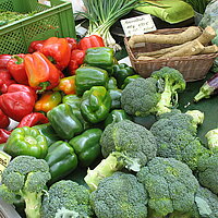 4. Bio-Bauernmarkt im Wildpark