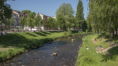 Flussufer der Enz