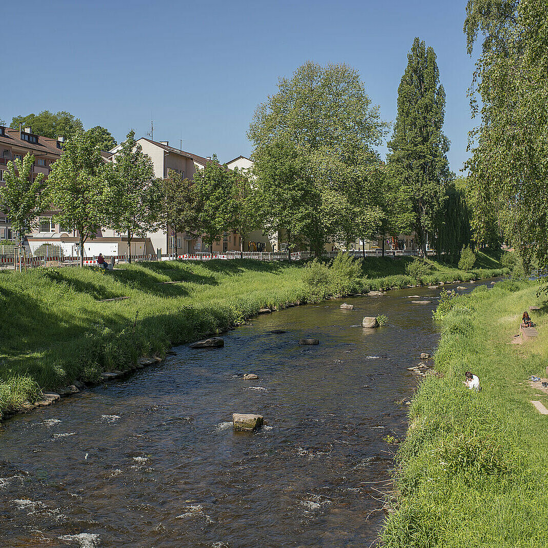 Flussufer der Enz