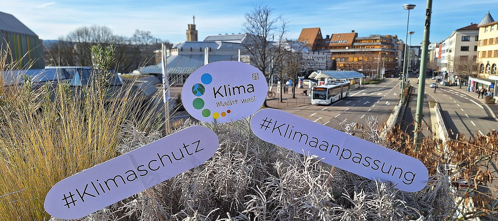 Klimaschutz in Pforzheim: Bepflanzung auf der Gernika Brücke, Hintergrund: Zerrennerstraße - copyright:Stadt Pforzheim