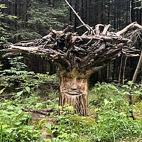 Durchs Rötelbachtal nach Zavelstein