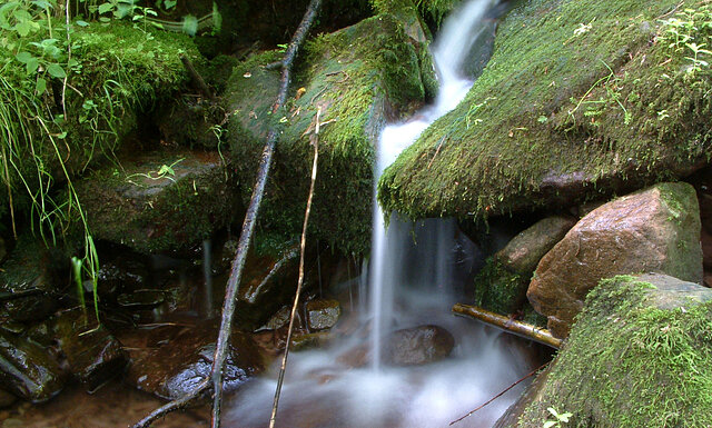 Beutbach (Foto: Hilligardt, AfU)