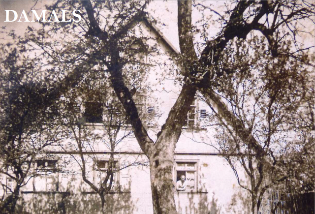Historische Aufnahme: Schellbronnerstraße 13 in Hohenwart - copyright:und