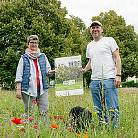 StadtGrün naturnah