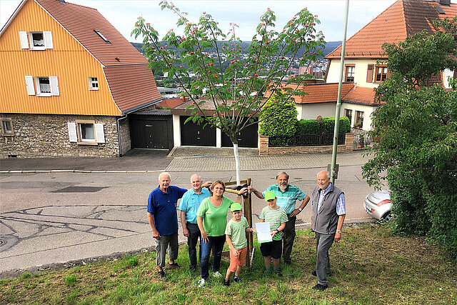 Baumspende Bürgerverein Nordstadt