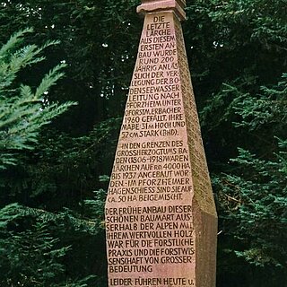 Foto: Lärchenstein