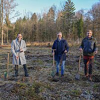 Drei Männer stehen im Wald und halten jeweils eine Schaufel und einen kleinen Baum in den Händen