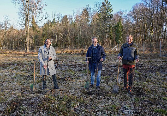 Drei Männer stehen im Wald und halten jeweils eine Schaufel und einen kleinen Baum in den Händen