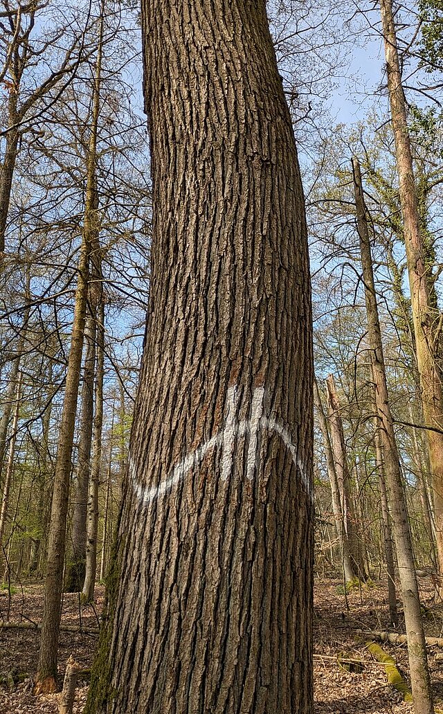 - copyright:Stadt Pforzheim
