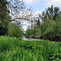 grüne Wiese mit Fluss und Stadtkirche im Hintergrund
