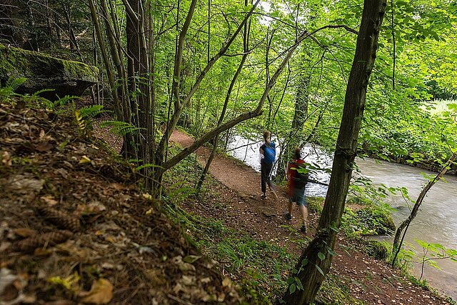 Die Wilde Würm - Foto: Pierre Johne