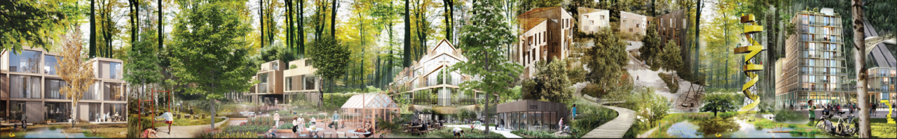 WaldStadt Collage
