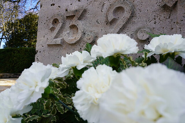 Weiße Rosen