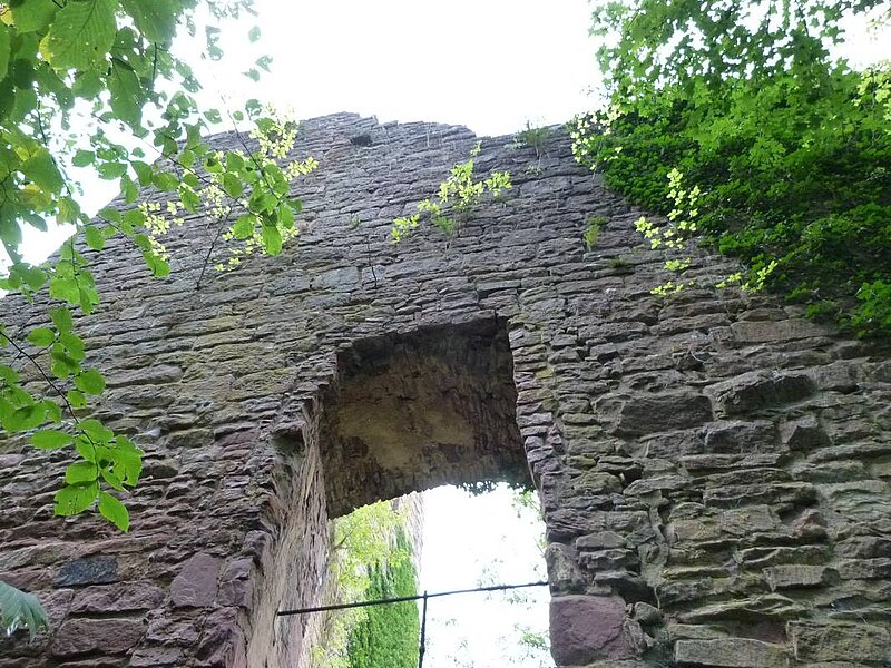 Burgruine Liebeneck