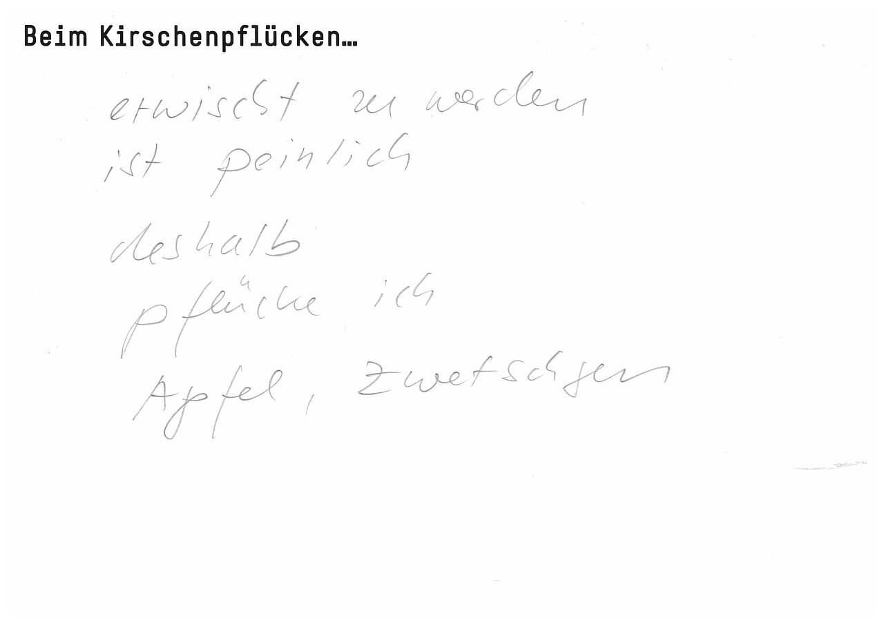 "Beim Kirschenpflücken..."