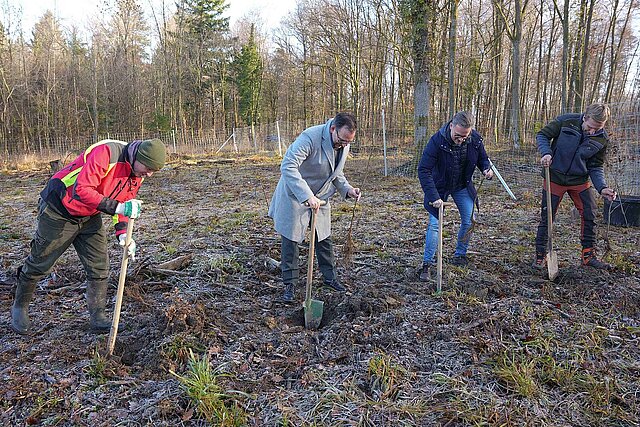Vier Männer stehen im Wald und graben mit einer Schaufel jeweils ein Loch in den Boden.