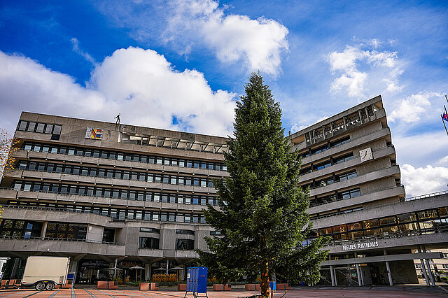 Weihnachtsbaum auf dem Marktplatz