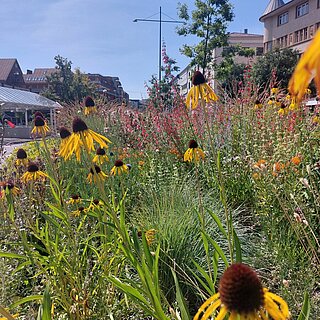  - copyright:Stadt Pforzheim