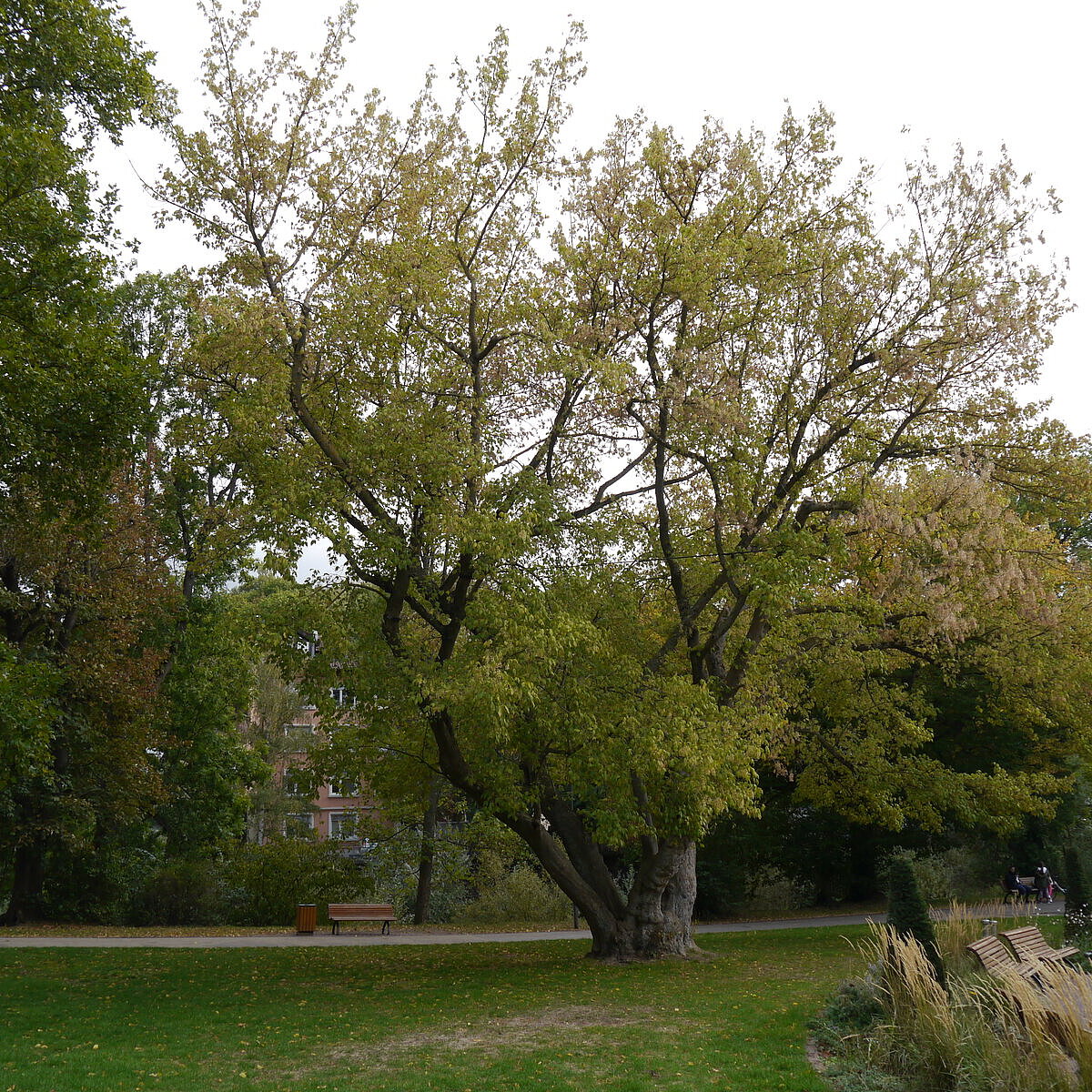  - copyright:Stadt Pforzheim