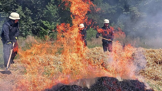 Fortbildung Vegetationsbrandbekämpfung mit @fire