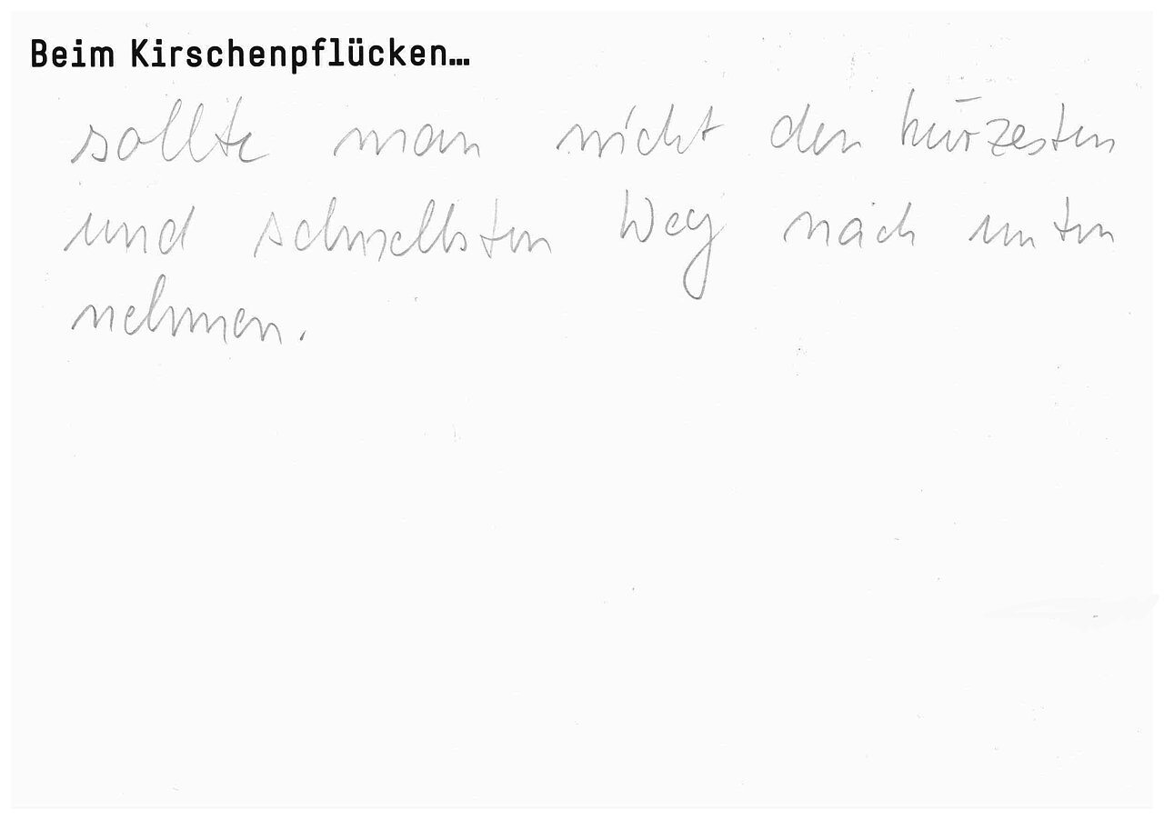 "Beim Kirschenpflücken..."