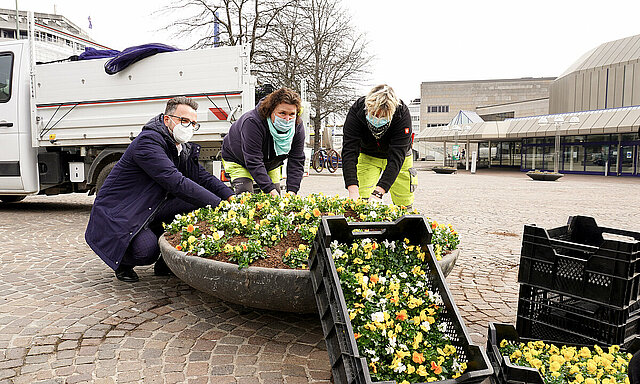 Florale Akzente in der Innenstadt