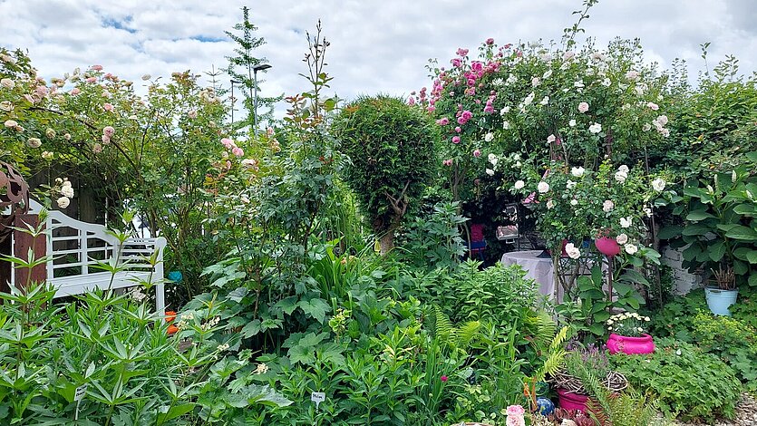 Garten - copyright: Stadt Pforzheim - Ersteller: Stadt Pforzheim