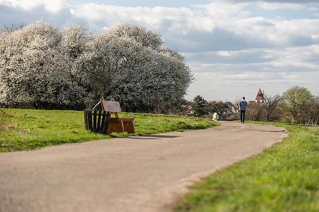 Büchenbronn Plateau mit schönen Streuobstwiesen - Foto: Pierre Johne