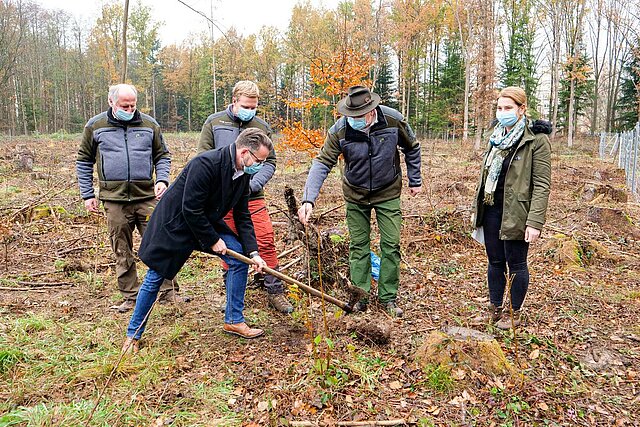 Pflanzung Jahrgangswäldle