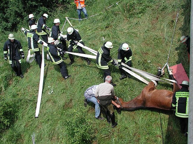 Symbolbild: Feuerwehralltag | Tierrettung