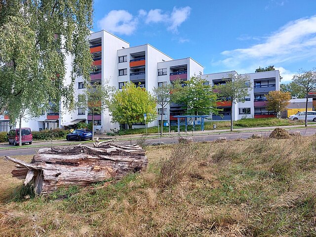  - copyright:Stadt Pforzheim