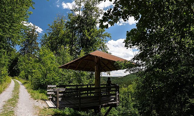 Die Zeitreisentour in den Süd-Osten Pforzheims - Foto: Pierre Johne