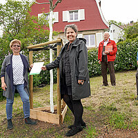 Baumspende Bürgerverein Nordstadt
