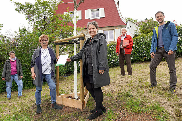 Baumspende Bürgerverein Nordstadt
