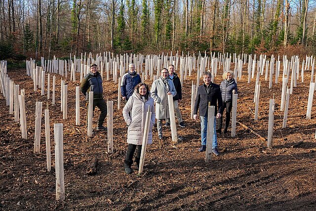 Farbfoto: Firma Dentaurum spendet 500 klimastabile Bäumen, dazwischen stehen BM Volle und andere
