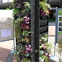 Abteilung Klimaschutz auf der Baumesse Pforzheim © Stadt Pforzheim, Photo: Stadt Pforzheim Abteilung Klimaschutz auf der Baumesse Pforzheim