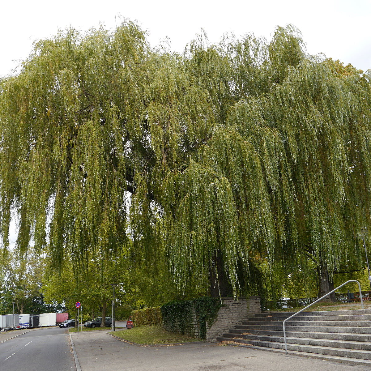  - copyright:Stadt Pforzheim