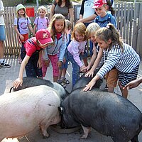 Mit der Tierpflege auf Futterrunde