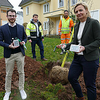 Smarte Bäume für Pforzheim