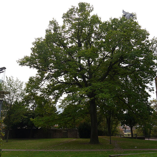  - copyright:Stadt Pforzheim