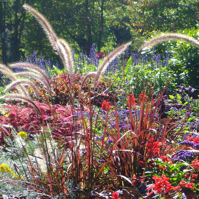 Blumenbeete im Stadtgarten Blumenbeete im Stadtgarten