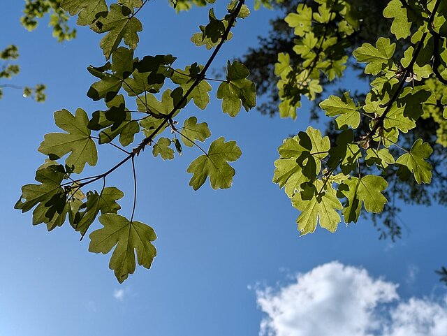  - copyright:Stadt Pforzheim