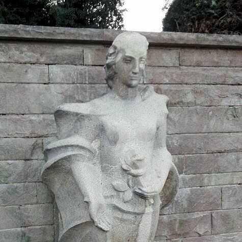 Die Rosendame