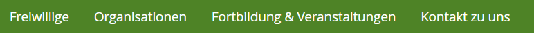Screenshot: Hauptnavigation der Website