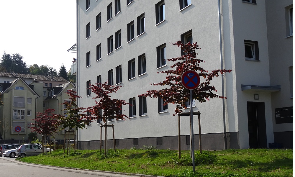  - copyright:Stadt Pforzheim, Foto: GTA